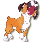 Cute Baby Boxer