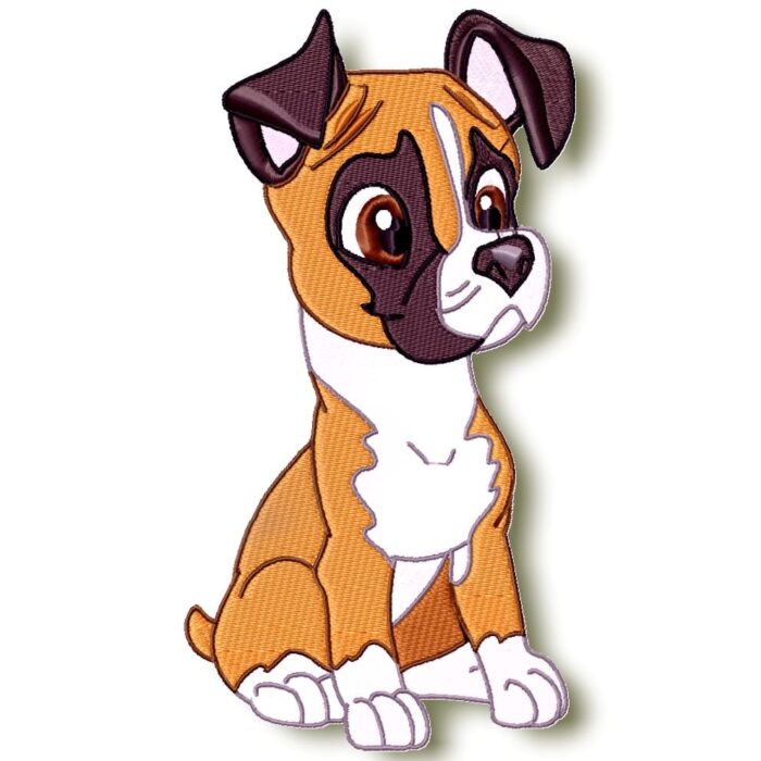 Cute Baby Boxer