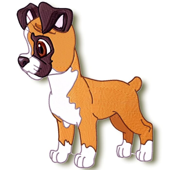 Cute Baby Boxer