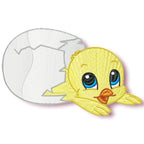 Cute Baby Chicken Hatching