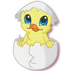 Cute Baby Chicken Hatching