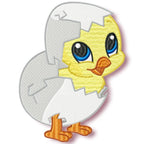 Cute Baby Chicken Hatching