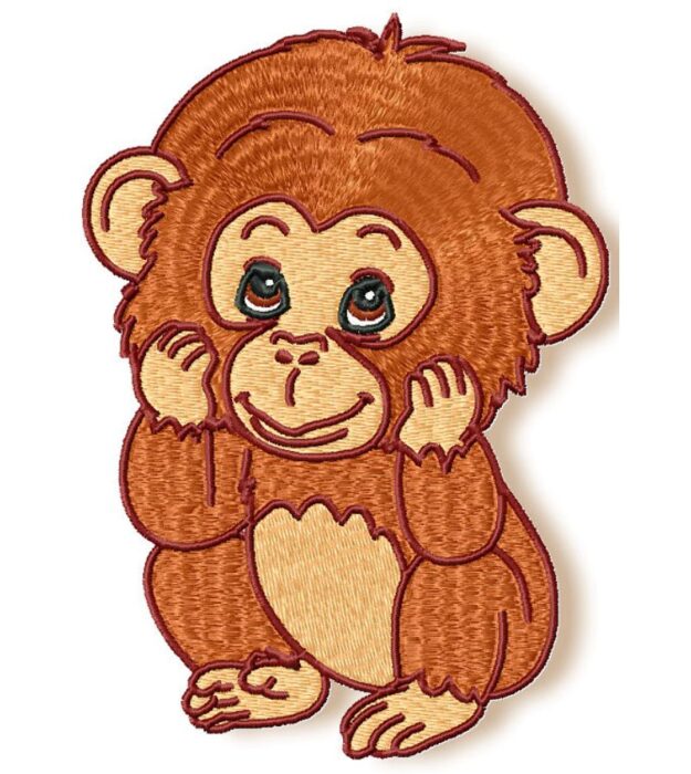 Cute Baby Chimpanzee