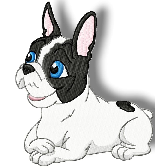 Cute Baby French Bulldog