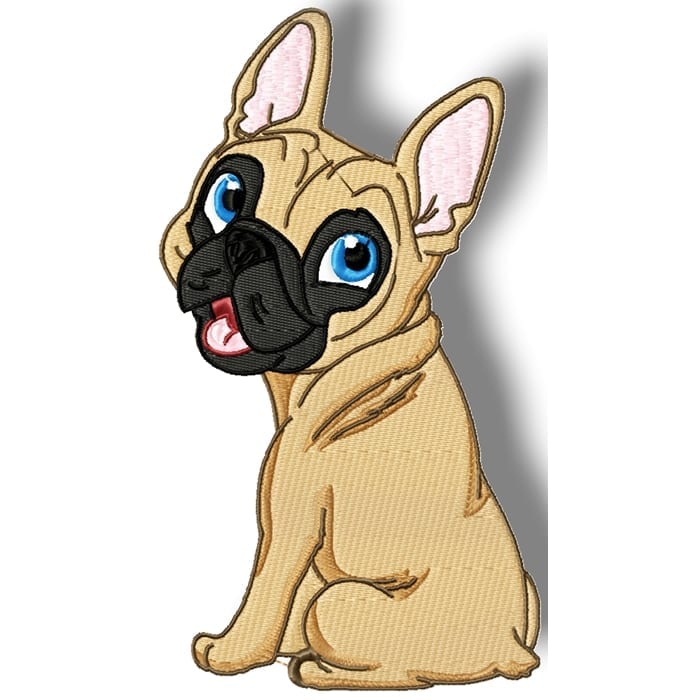 Cute Baby French Bulldog