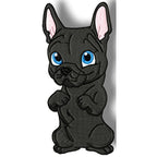 Cute Baby French Bulldog