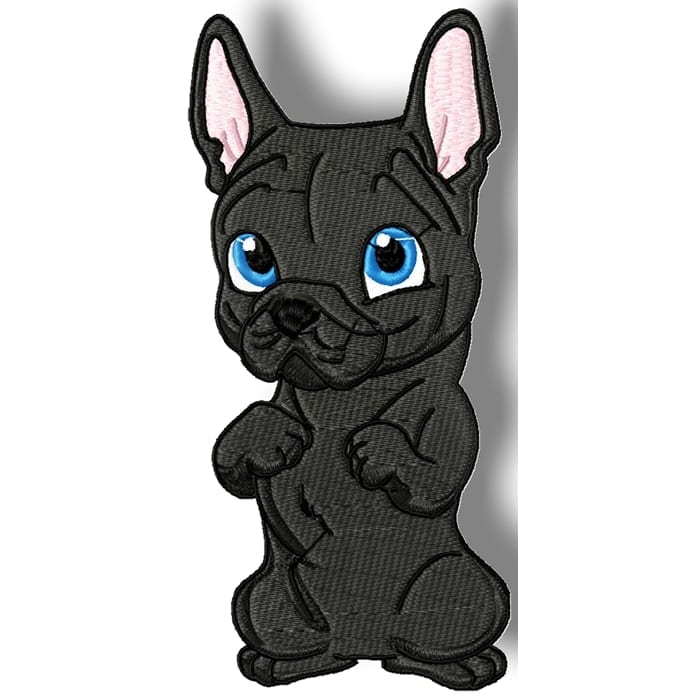 Cute Baby French Bulldog