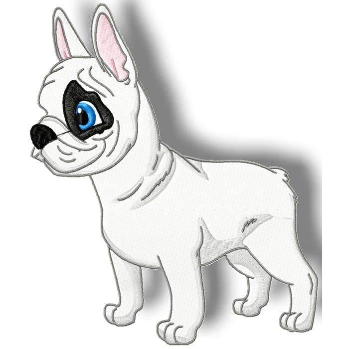 Cute Baby French Bulldog