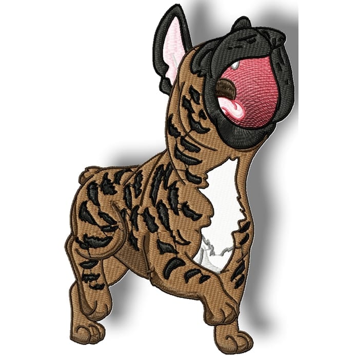 Cute Baby French Bulldog