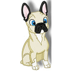 Cute Baby French Bulldog