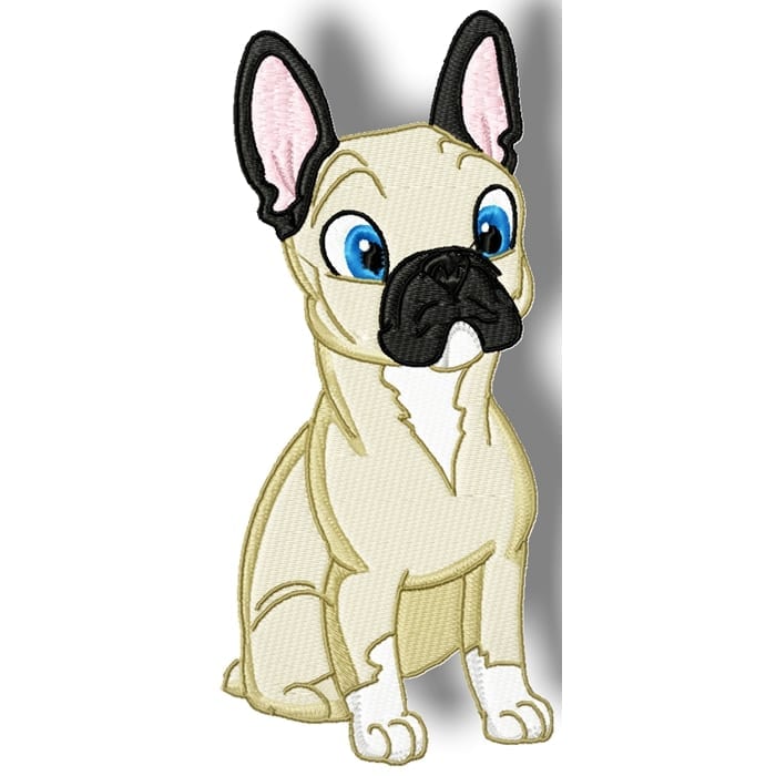 Cute Baby French Bulldog