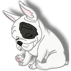 Cute Baby French Bulldog