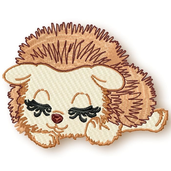 Cute Baby Hedgehog 1
