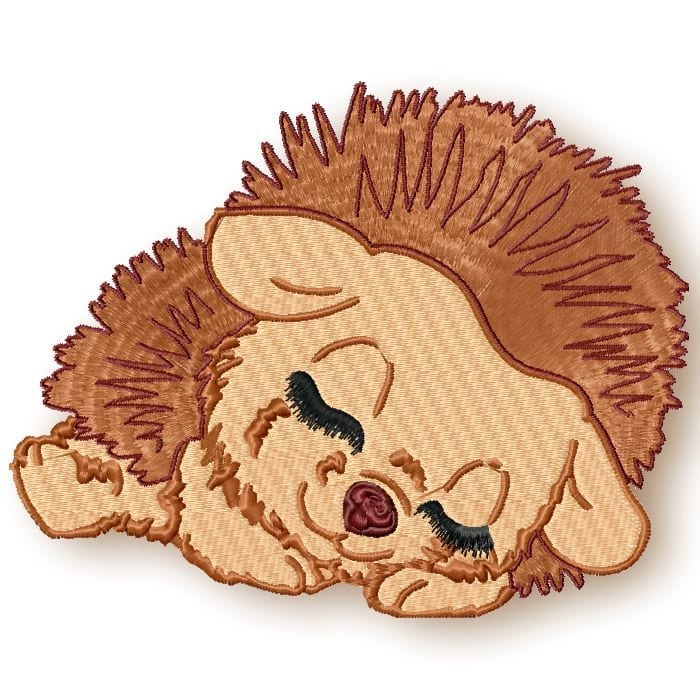 Cute Baby Hedgehog 1