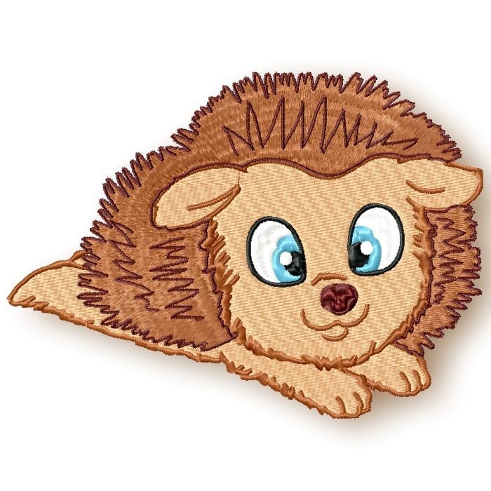 Cute Baby Hedgehog 1