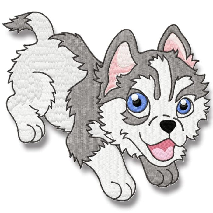 Cute Baby Husky