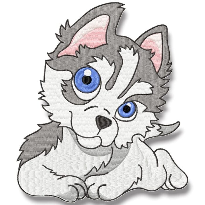 Cute Baby Husky