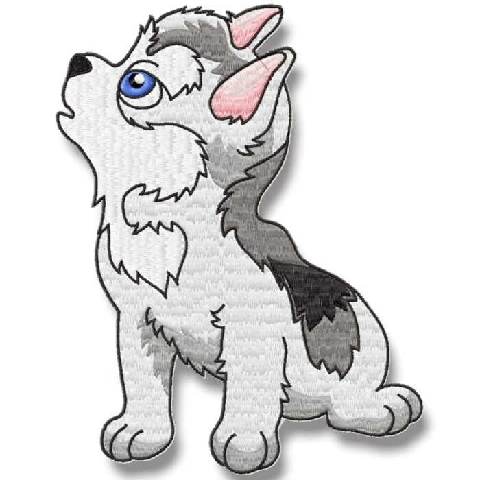 Cute Baby Husky