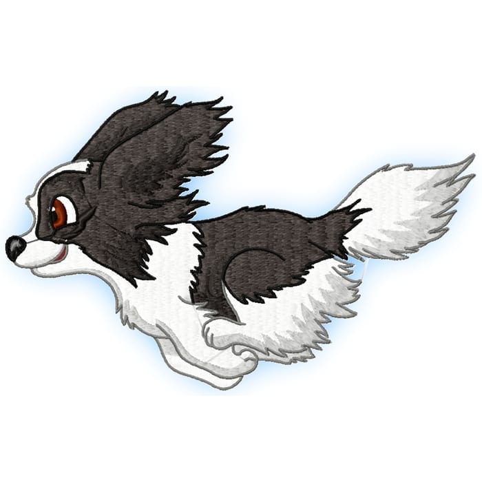 Cute Baby Papillion
