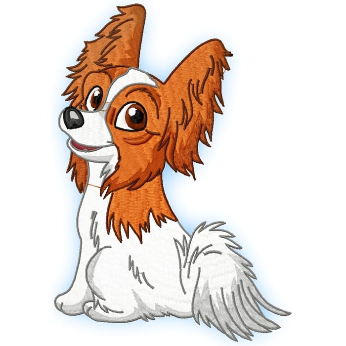 Cute Baby Papillion