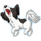 Cute Baby Papillion