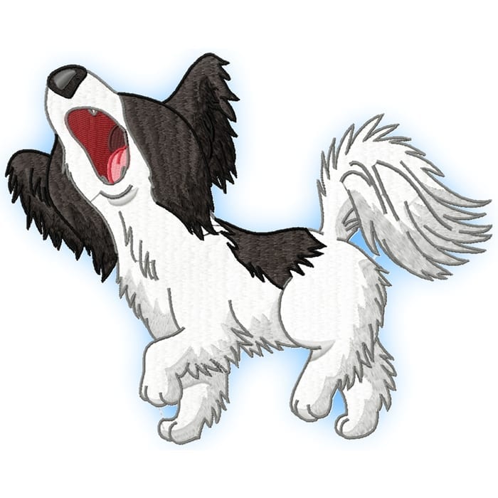 Cute Baby Papillion