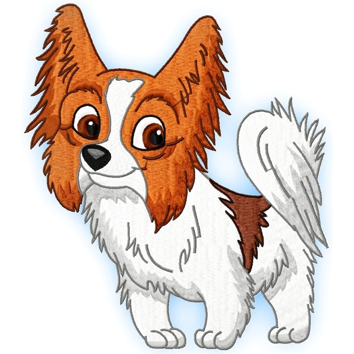 Cute Baby Papillion