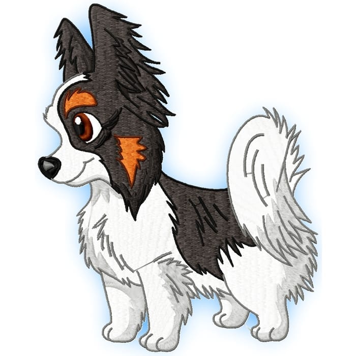 Cute Baby Papillion