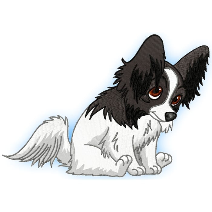 Cute Baby Papillion