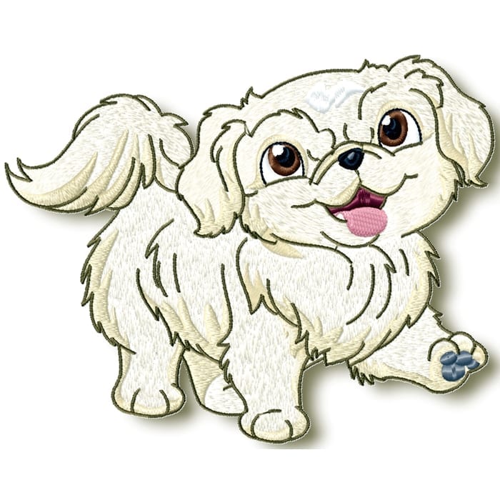Cute Baby Pekingese