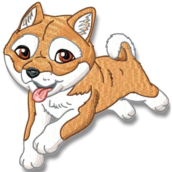Cute Baby Shiba Inu
