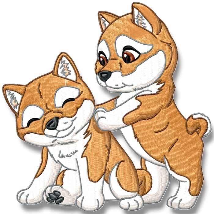 Cute Baby Shiba Inu