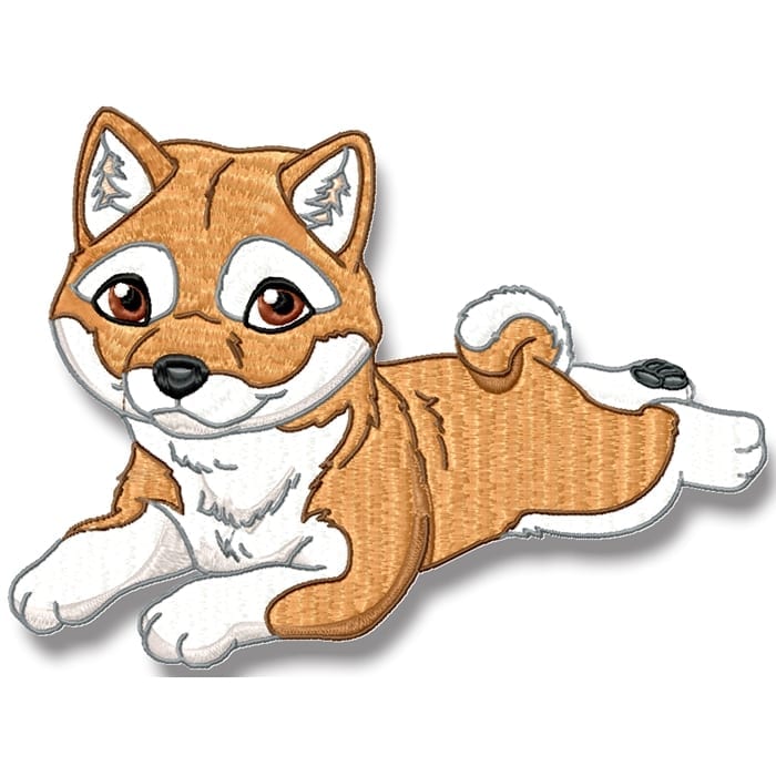 Cute Baby Shiba Inu