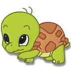 Cute Baby Turtle
