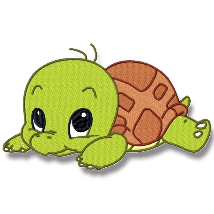 Cute Baby Turtle