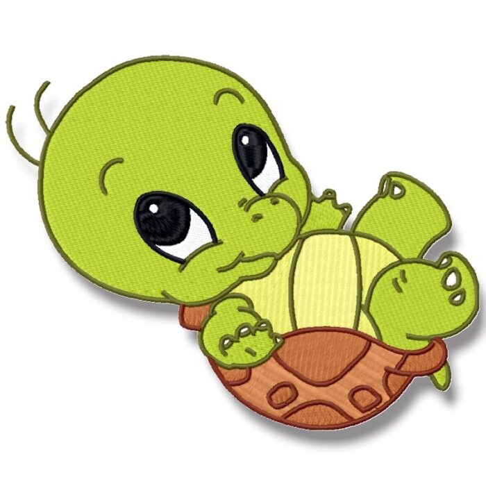Cute Baby Turtle