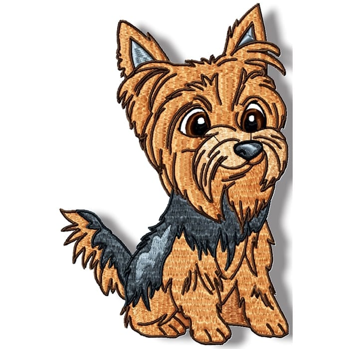 Cute Baby Yorkies