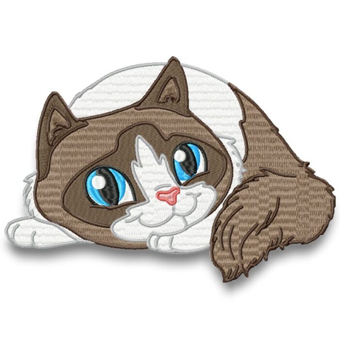Cute Baby Ragdoll Cats