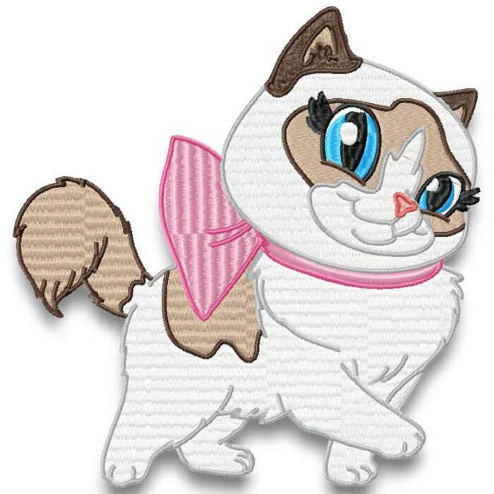 Cute Baby Ragdoll Cats