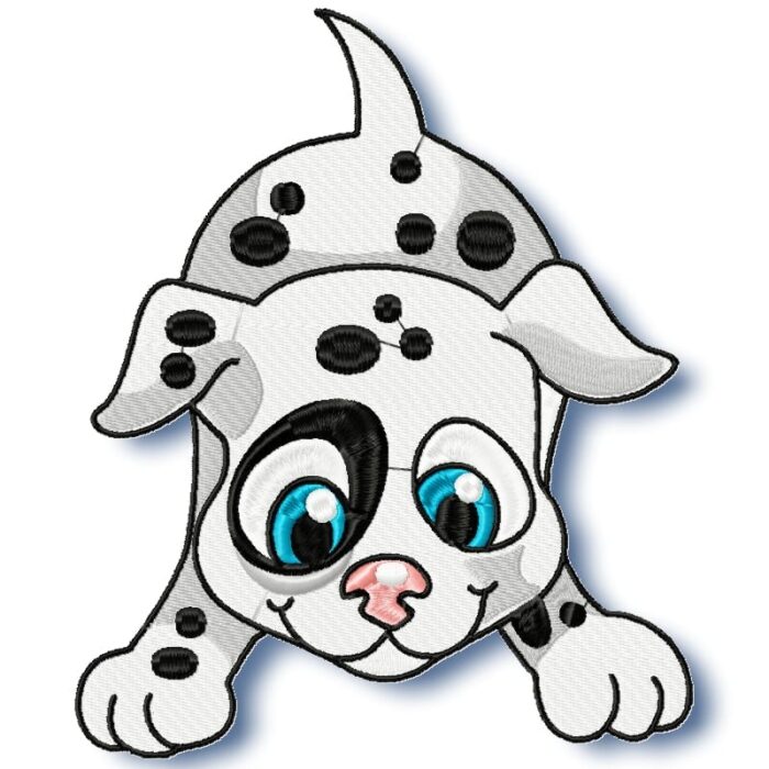 Cute Baby Dalmation