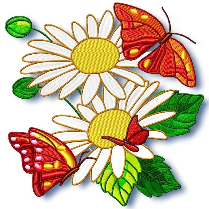 Daisy and Butterflies
