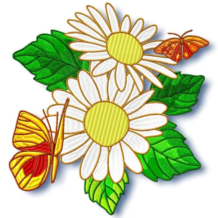 Daisy and Butterflies
