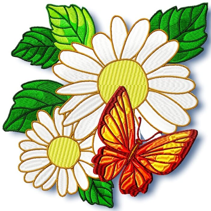 Daisy and Butterflies