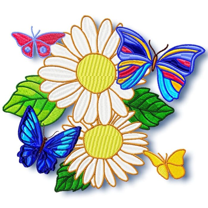 Daisy and Butterflies