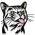 Defiant Cat