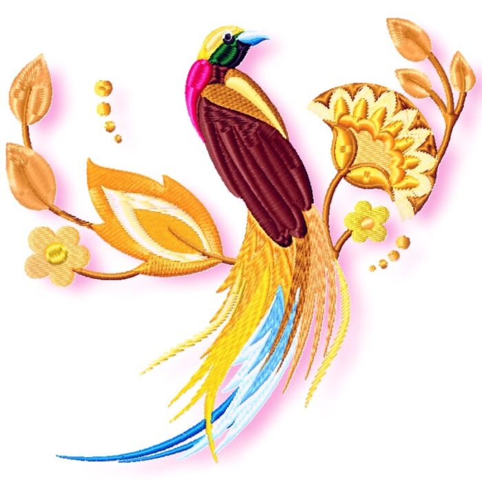 Delicate Birds