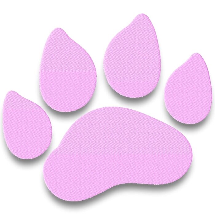 Delicate Dog
