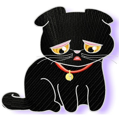 Expressions Kitty Set