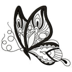 Eye-Catching Butterflies