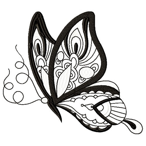 Eye-Catching Butterflies
